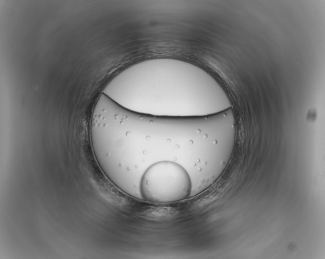 X0000090920459200708131436