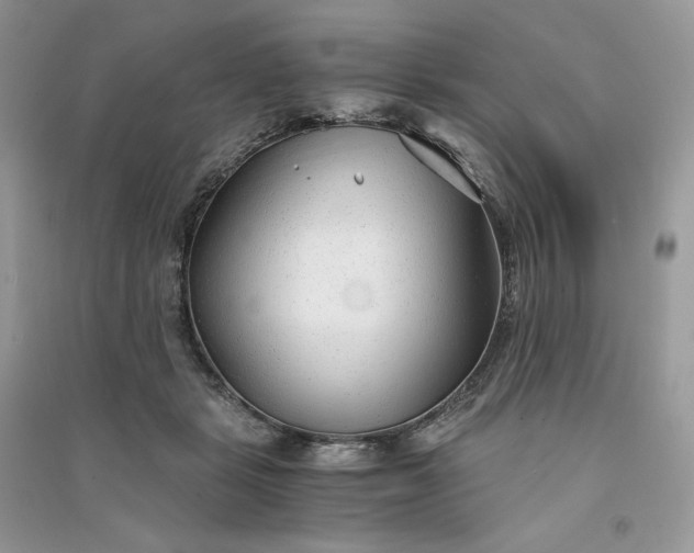 X0000090920461200708131437