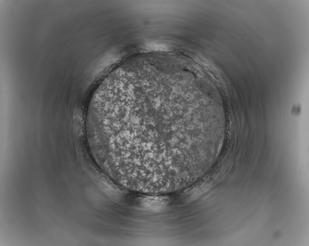 X0000090920465200708131437