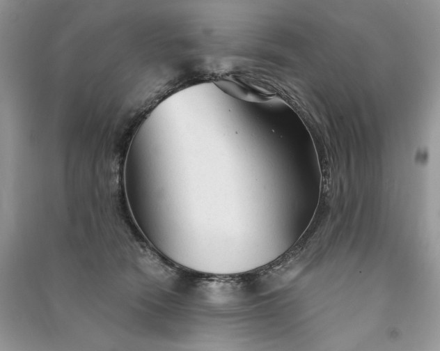 X0000090920466200708131437