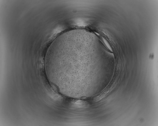 X0000090920467200708131437