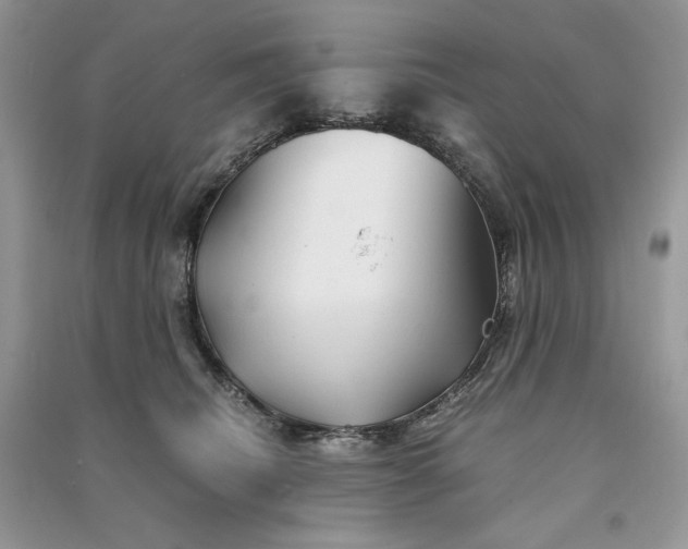 X0000090920468200708131437