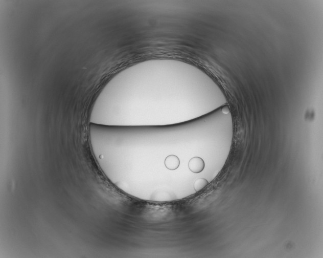 X0000090920469200708131437