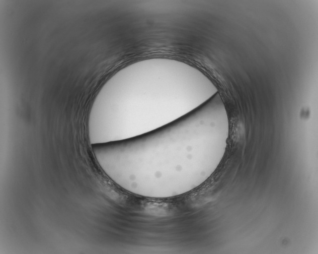 X0000090920471200708131437