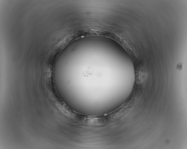 X0000090920472200708131437