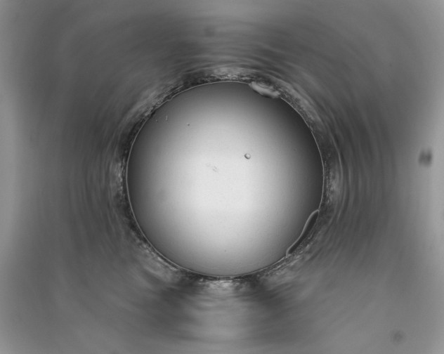 X0000090920473200708131437