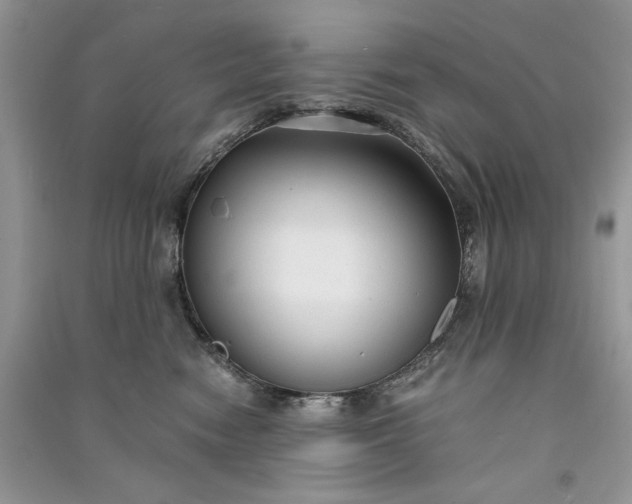 X0000090920474200708131437