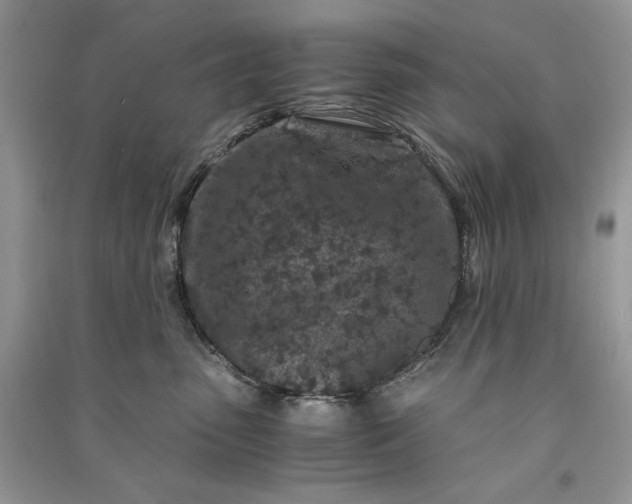 X0000090920475200708131437