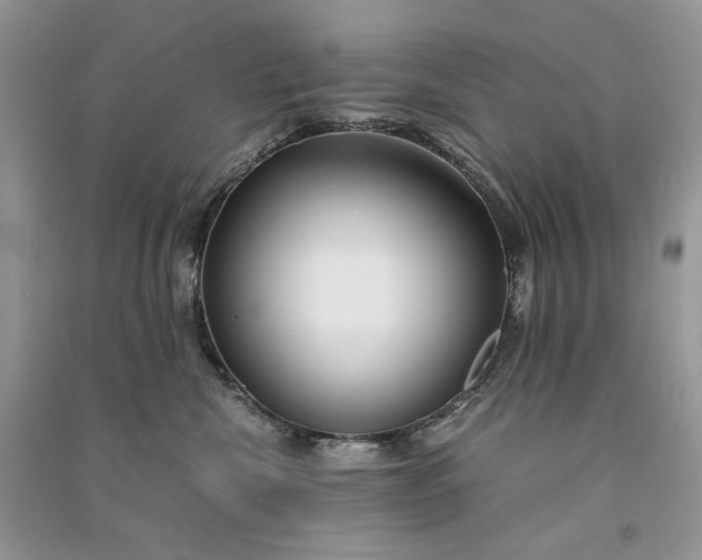 X0000090920476200708131437