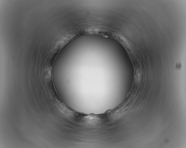 X0000090920477200708131437