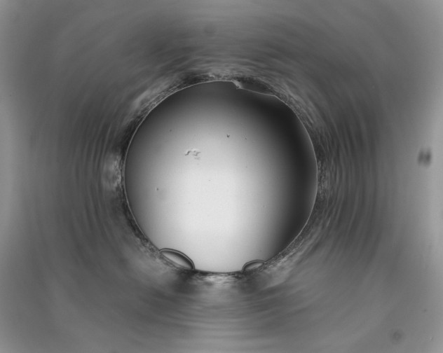 X0000090920478200708131437