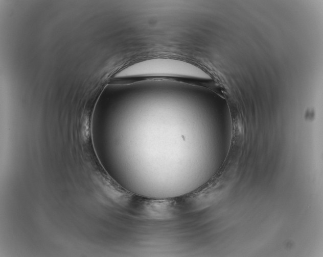 X0000090920479200708131437