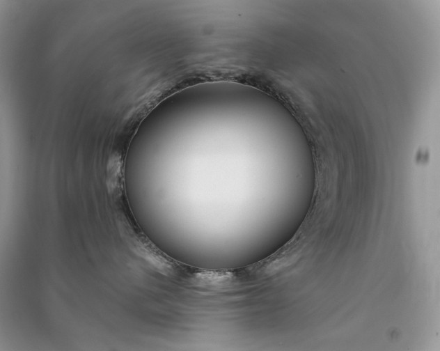 X0000090920480200708131437