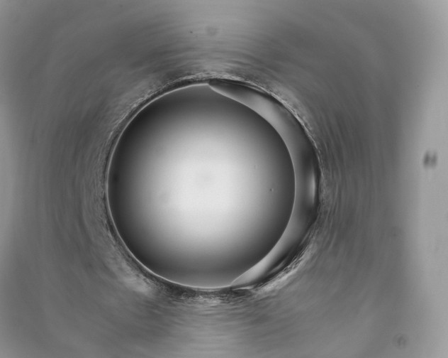 X0000090920481200708131436