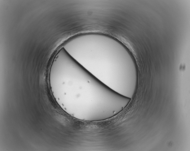 X0000090920483200708131436