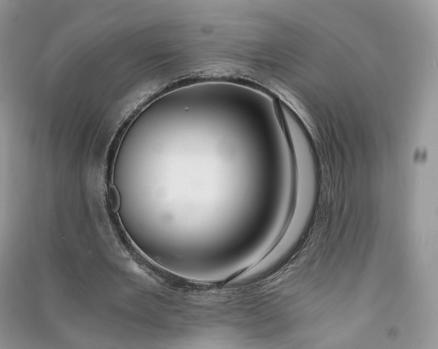 X0000090920485200708131436