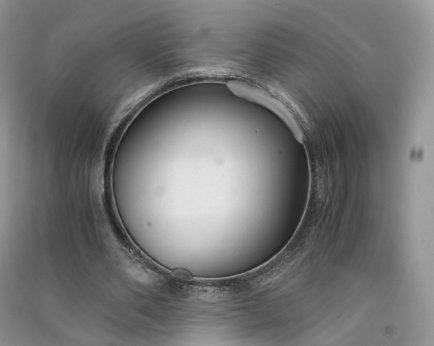 X0000090920486200708131436