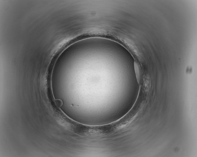 X0000090920487200708131436