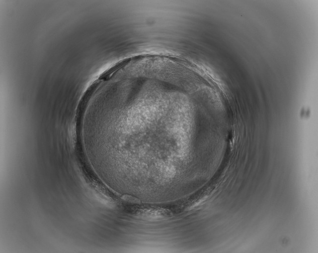 X0000090920488200708131436