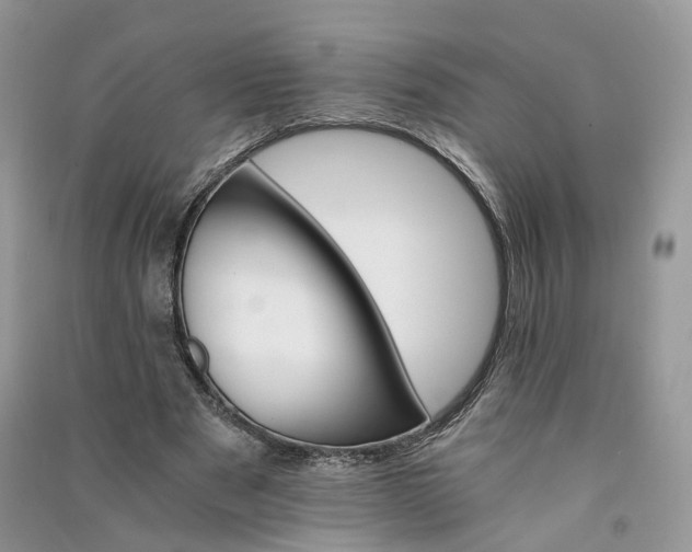 X0000090920489200708131436