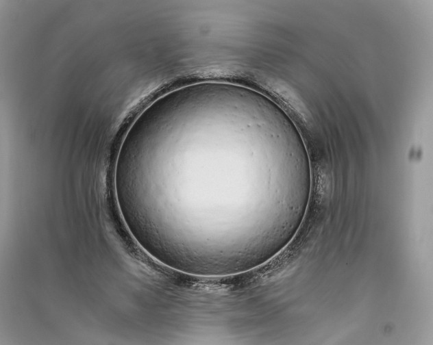 X0000090920491200708131436