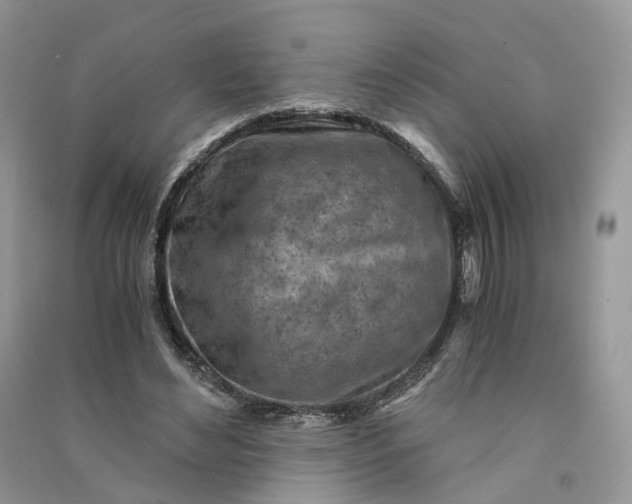 X0000090920492200708131436