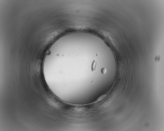 X0000090920495200708131436