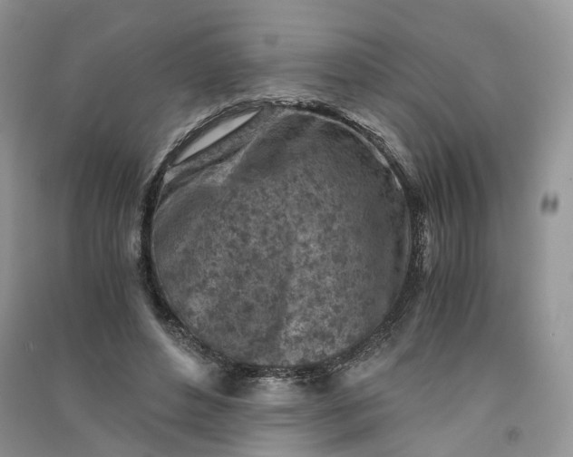 X0000090920496200708131436