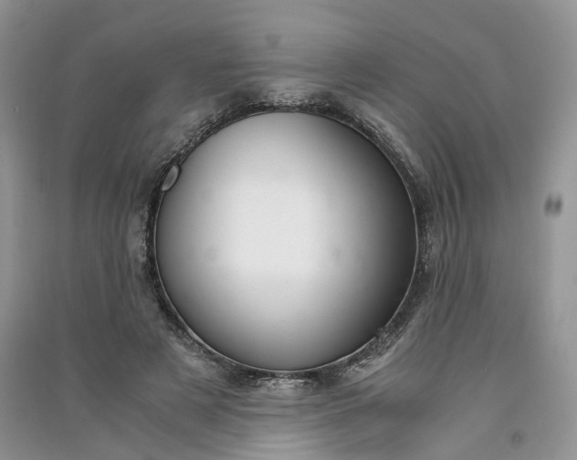 X0000090920497200708131436