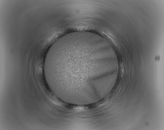 X0000090920499200708131436