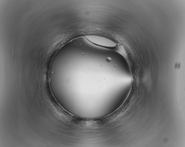 X0000090920501200708131436