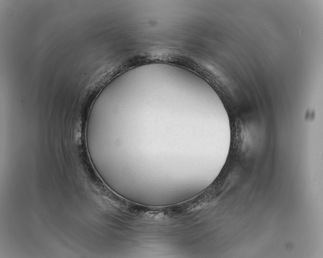 X0000090920502200708131436