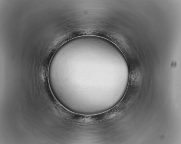 X0000090920503200708131436