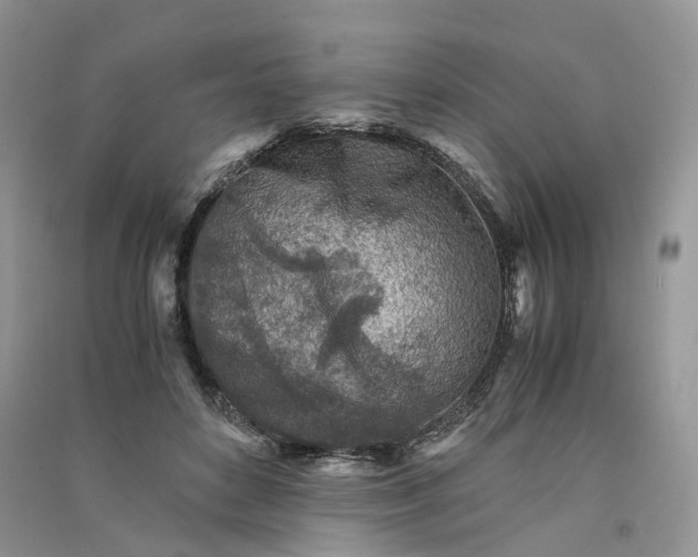 X0000090920504200708131436