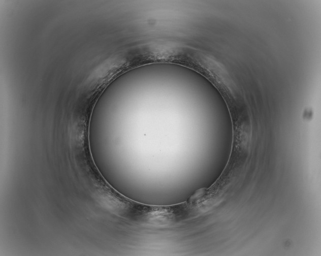 X0000090920505200708131436