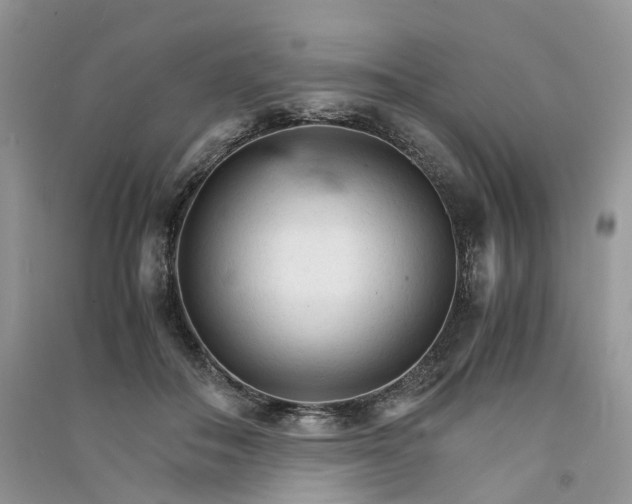 X0000090920506200708131436