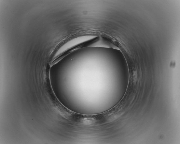 X0000090920508200708131436