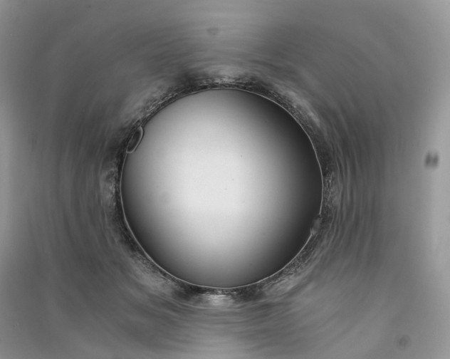 X0000090920509200708131436