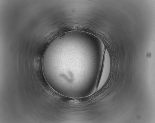 X0000090920511200708131436