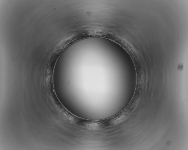 X0000090920513200708131436