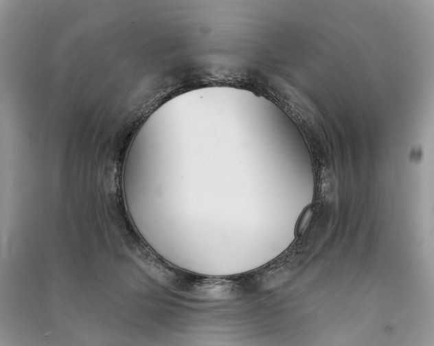 X0000090920514200708131436