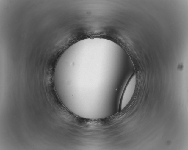 X0000090920515200708131436