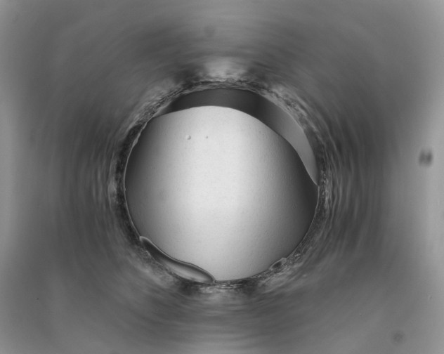 X0000090920516200708131436