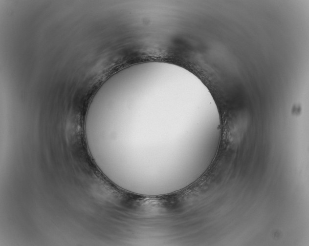 X0000090920518200708131436