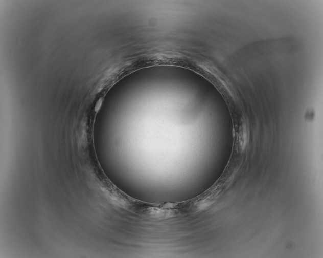 X0000090920520200708131436