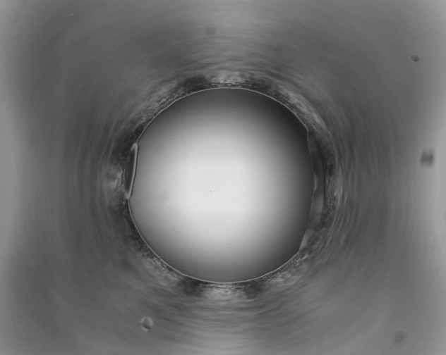 X0000090920521200708131436