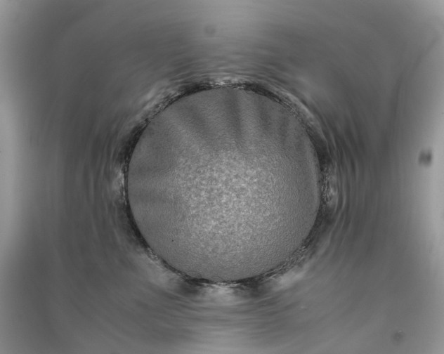 X0000090920523200708131436