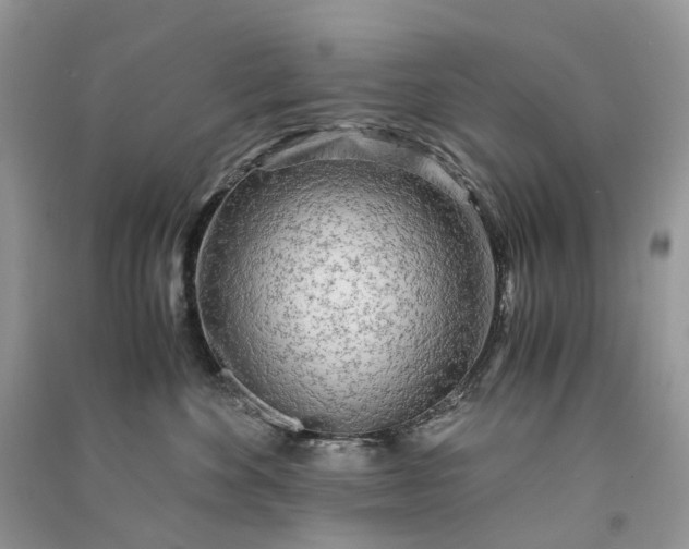 X0000090920524200708131436