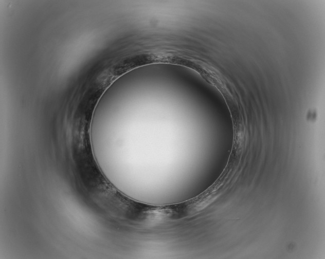 X0000090920525200708131436