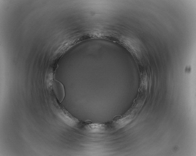 X0000090920526200708131436